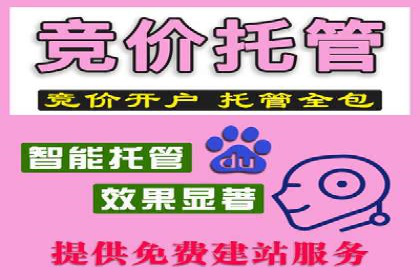案例研究：百度竞价广告投放效果